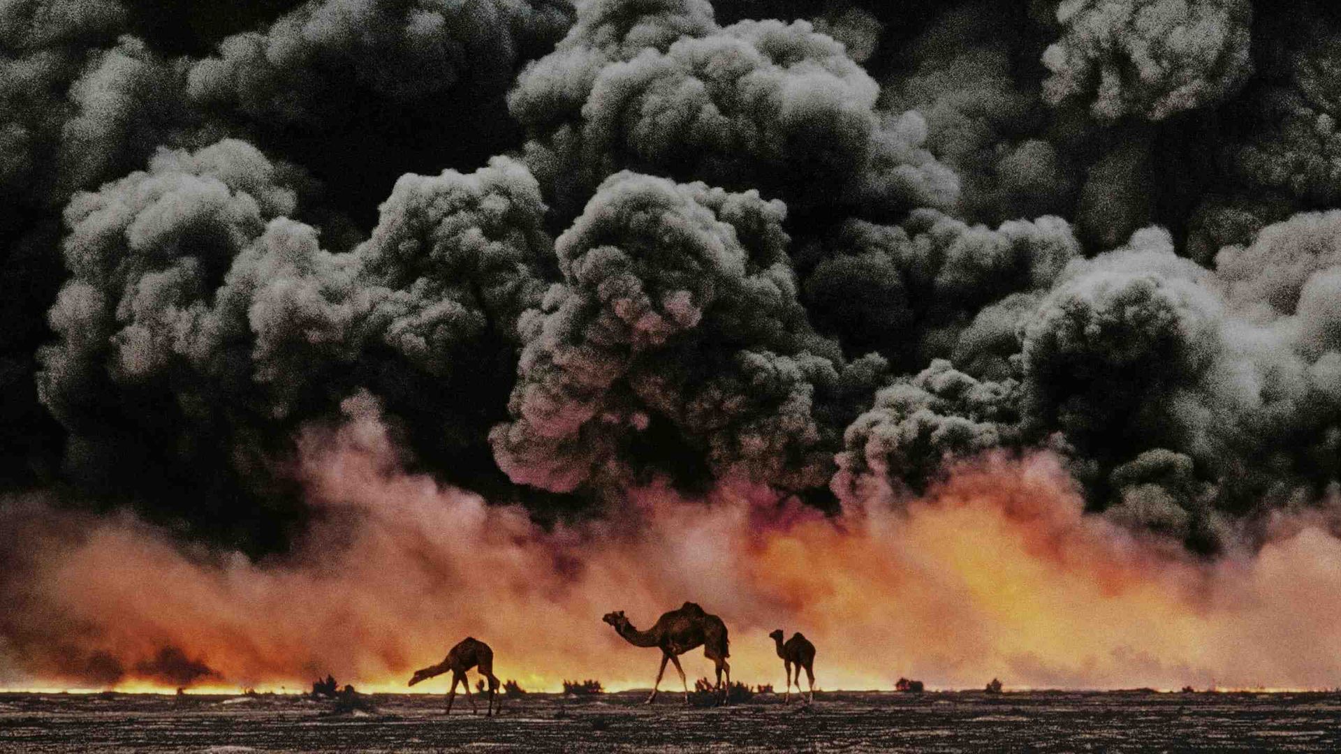 McCurry, the pursuit of color