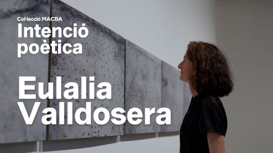 Col·lección MACBA. Intención poética. Eulalia Valldosera