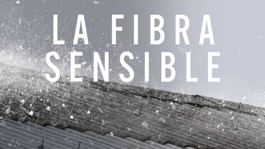 La fibra sensible