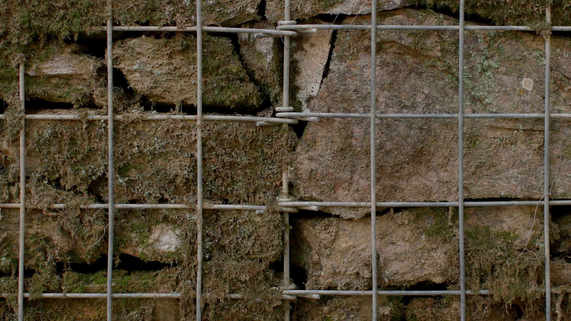 Entre ruinas. Arte para un planeta herido