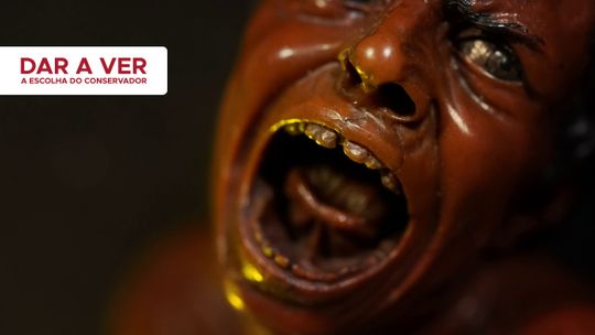 Dar a conocer: la selección del conservador