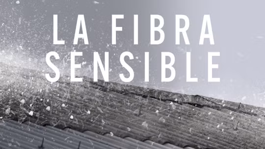 La fibra sensible
