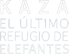 Kaza. El último refugio de elefantes