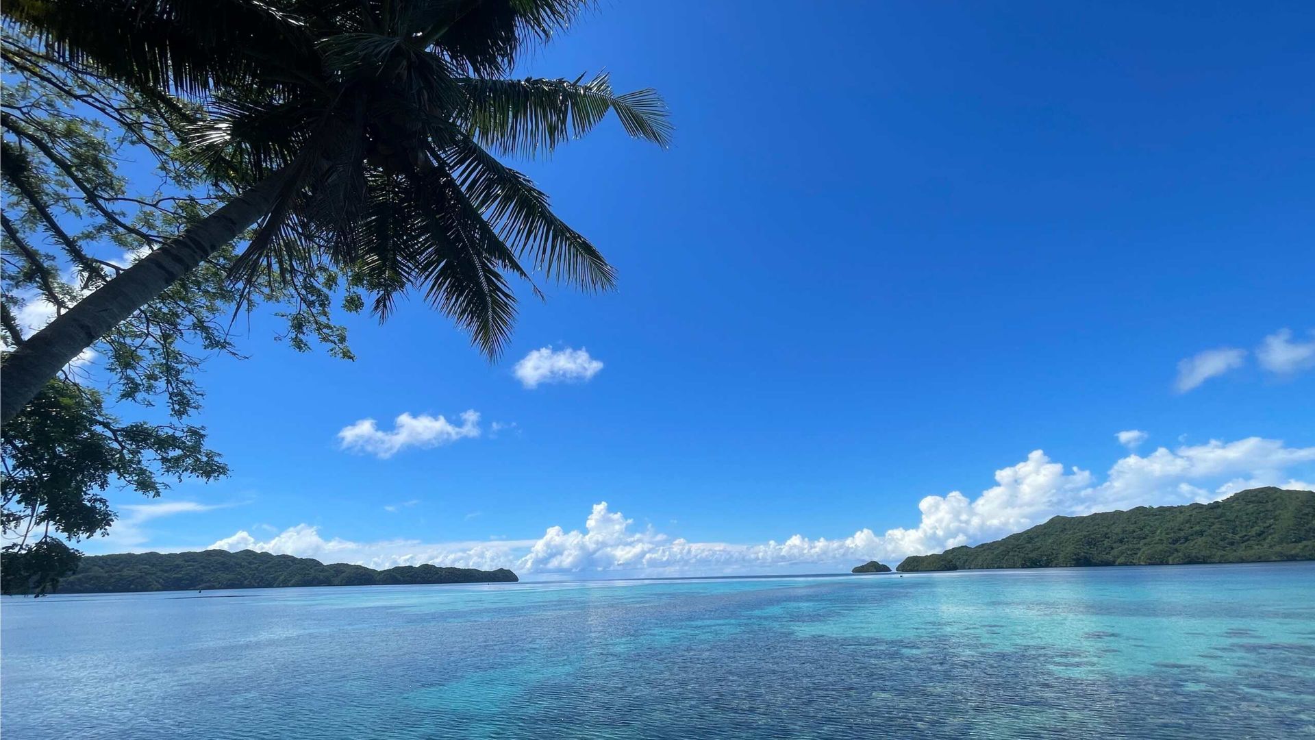 Travelling Series: Palau