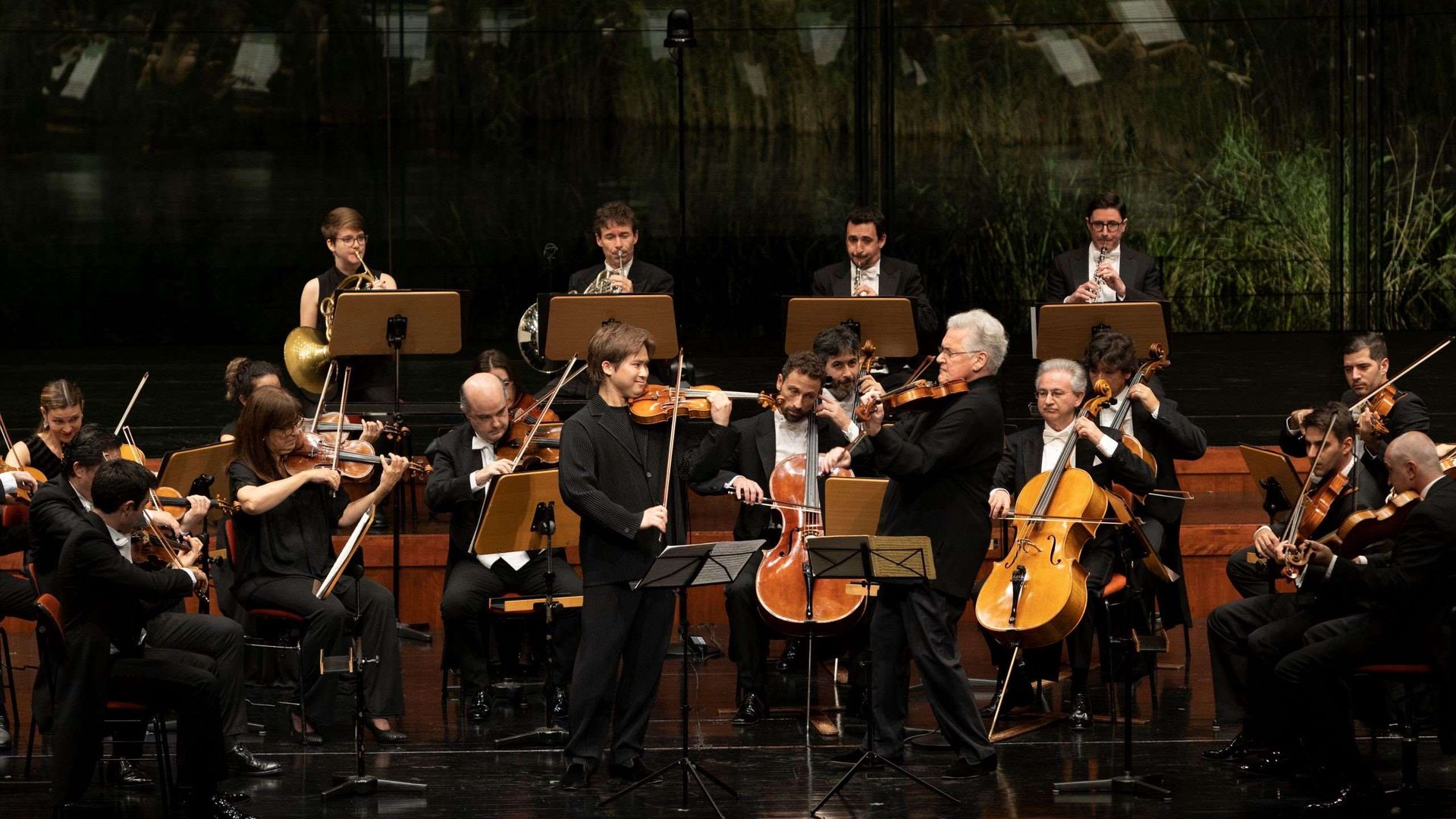 Mozart: Sinfonía concertante