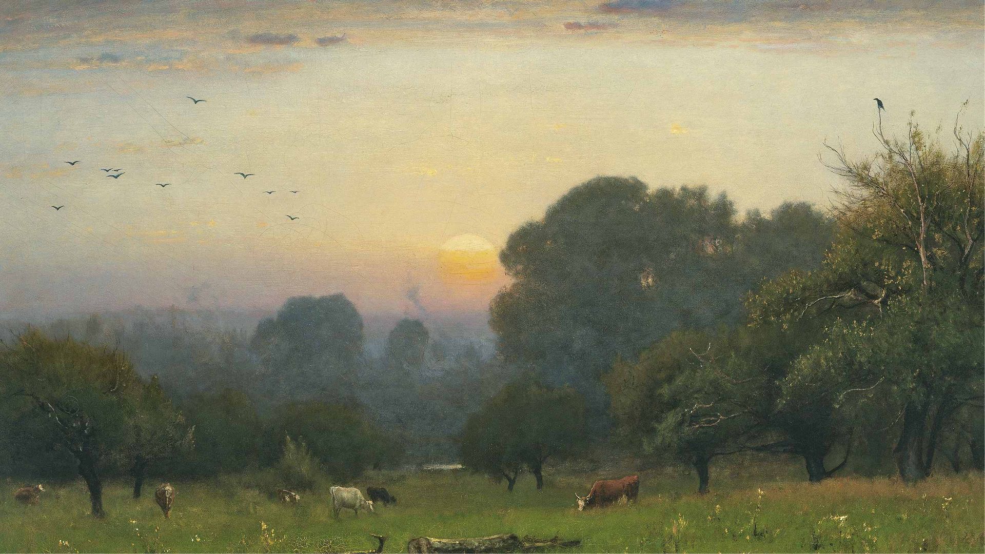 Habitar el cielo con Juan Varela