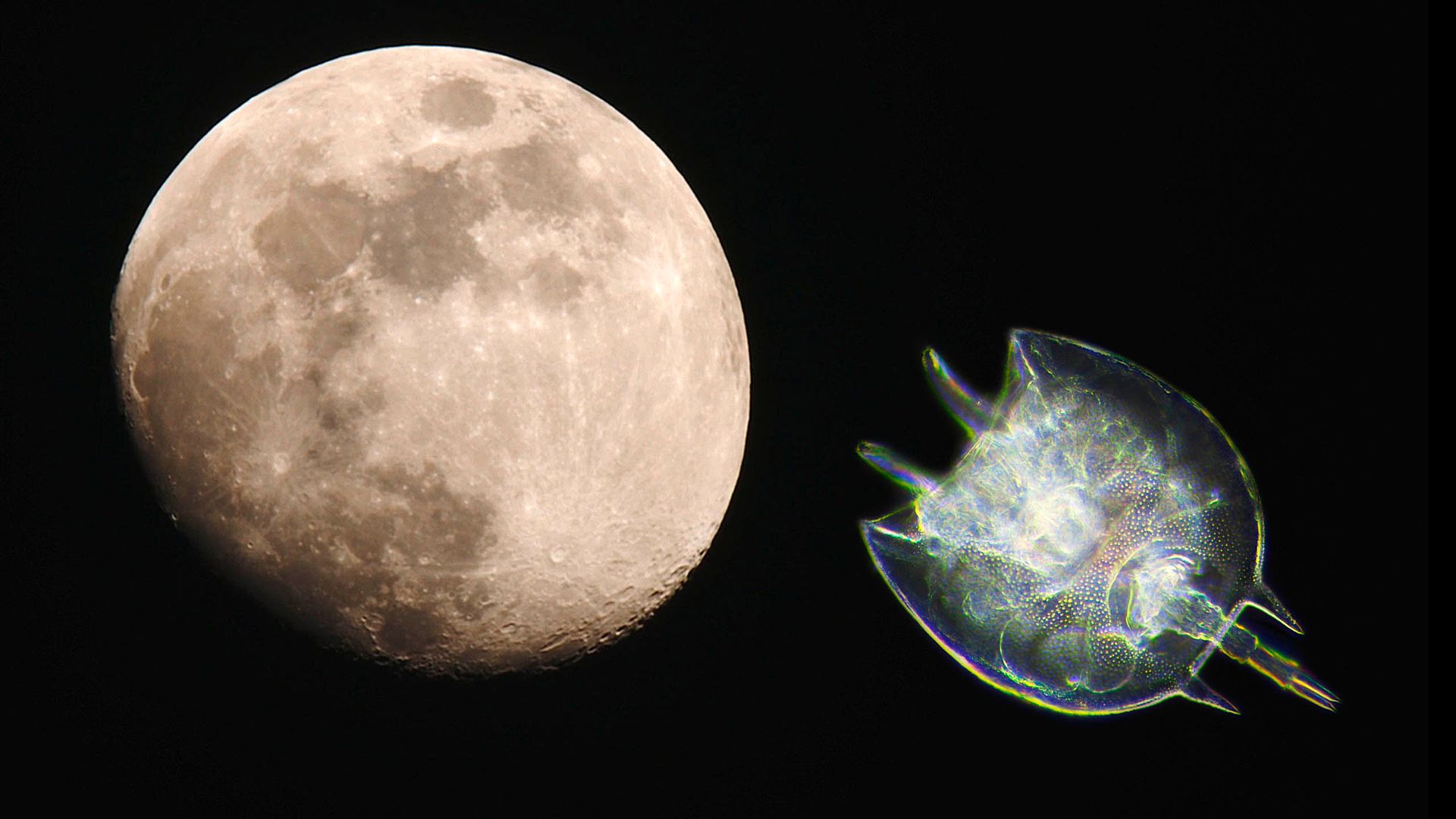 Extraterrestres