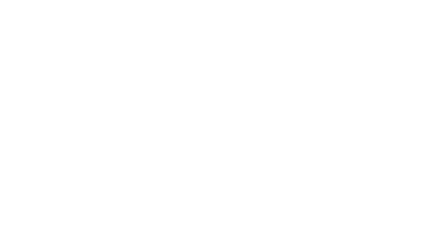 Queridos tiburones