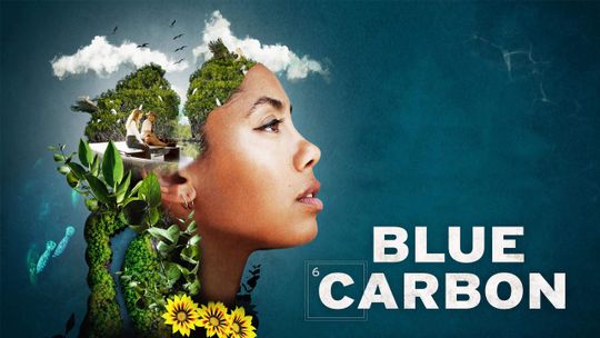 Blue Carbon. El poder oculto de la naturaleza