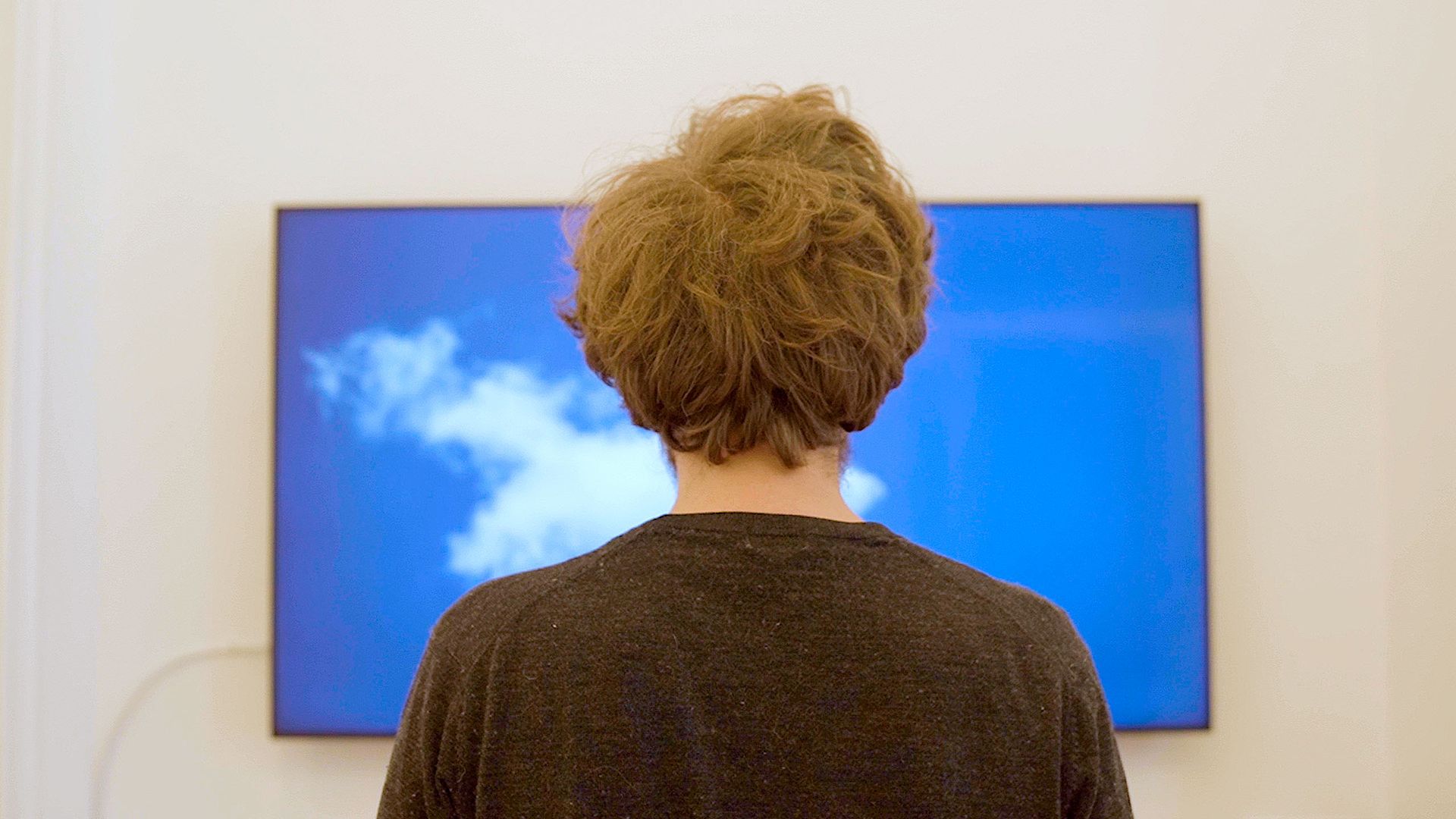 Crònica del naixement, desenvolupament i mort d'un núvol