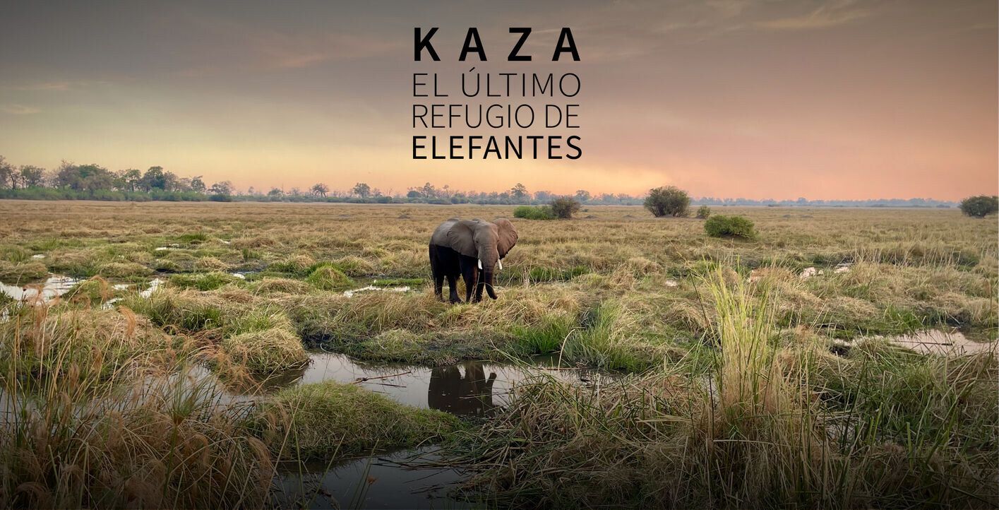 Kaza. El último refugio de elefantes