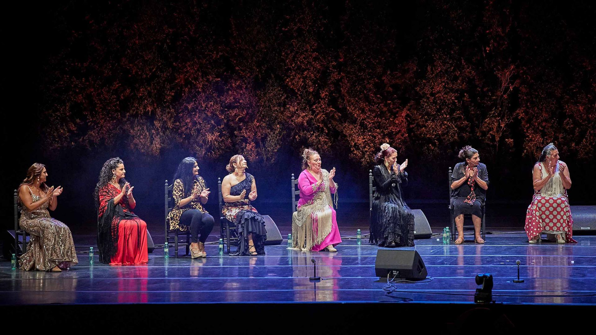 Gala Andalucía Flamenca – Cantes de mujer