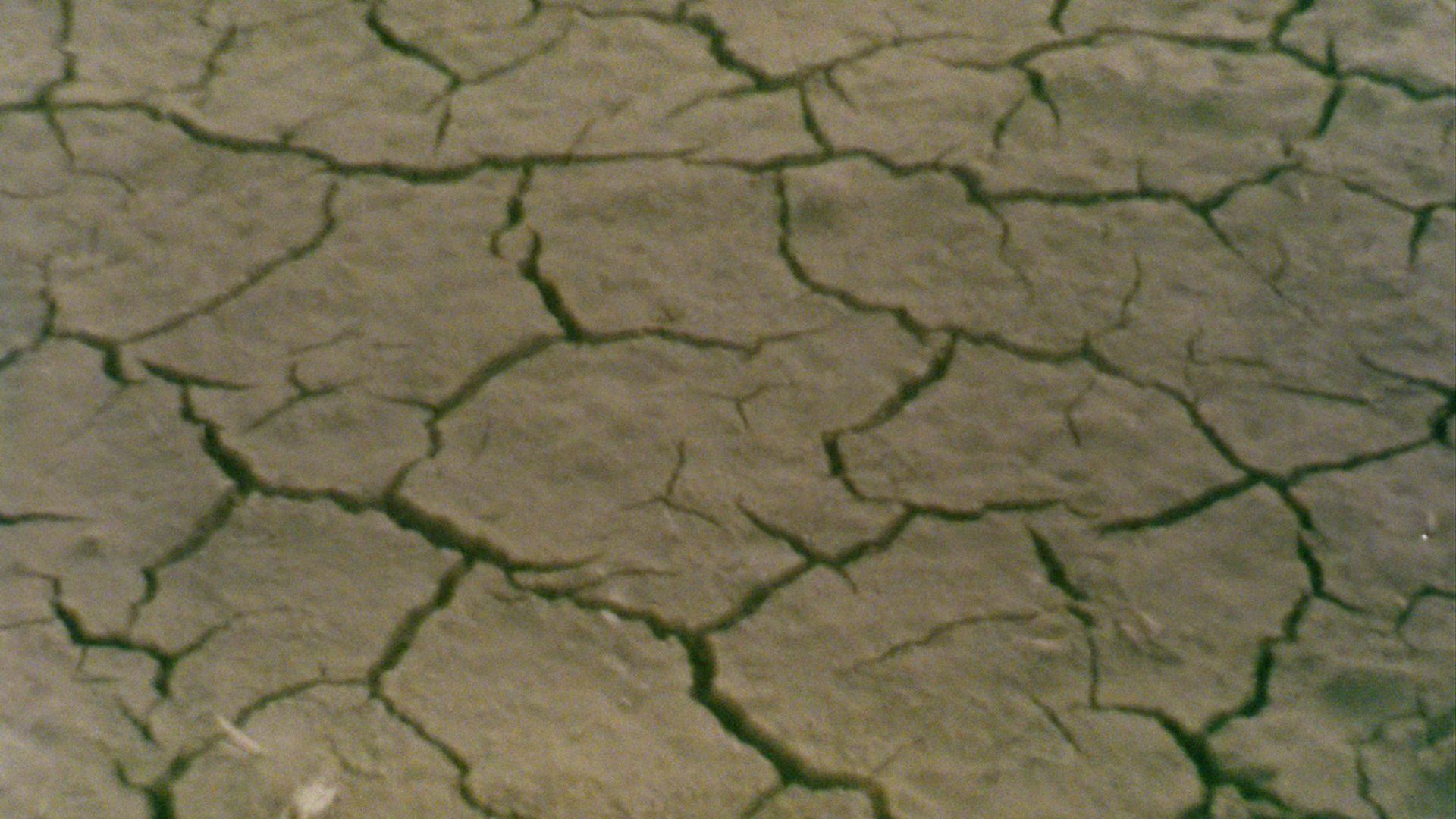 Naturaleza e Ilustración