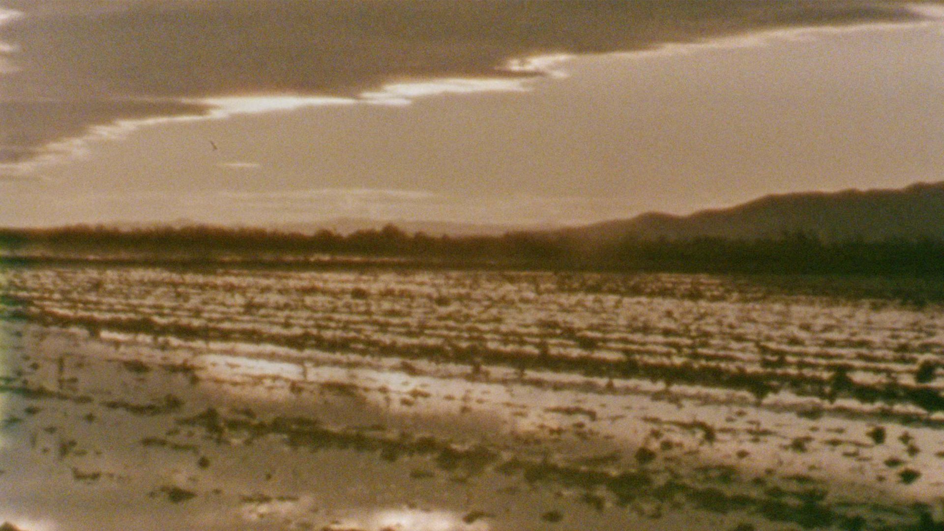 Paisajes del espíritu