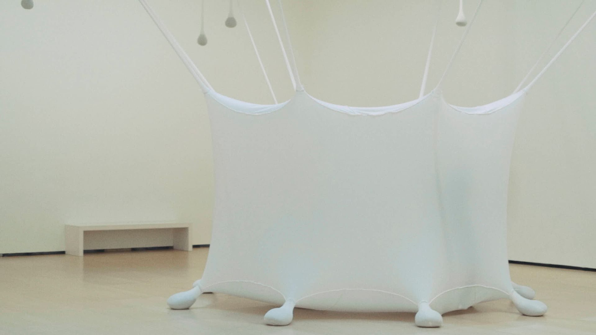 Ernesto Neto ft. Paco León