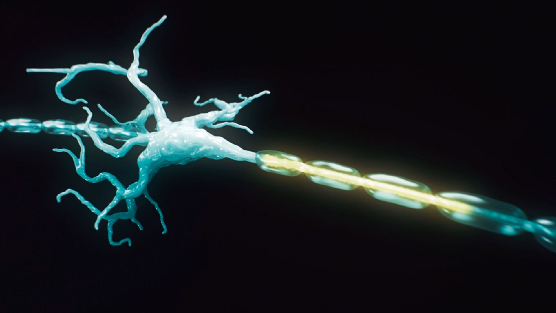 La mandona