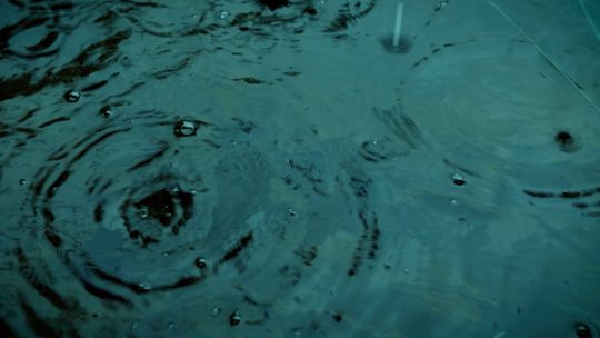 Water is love. Ripples of regeneration