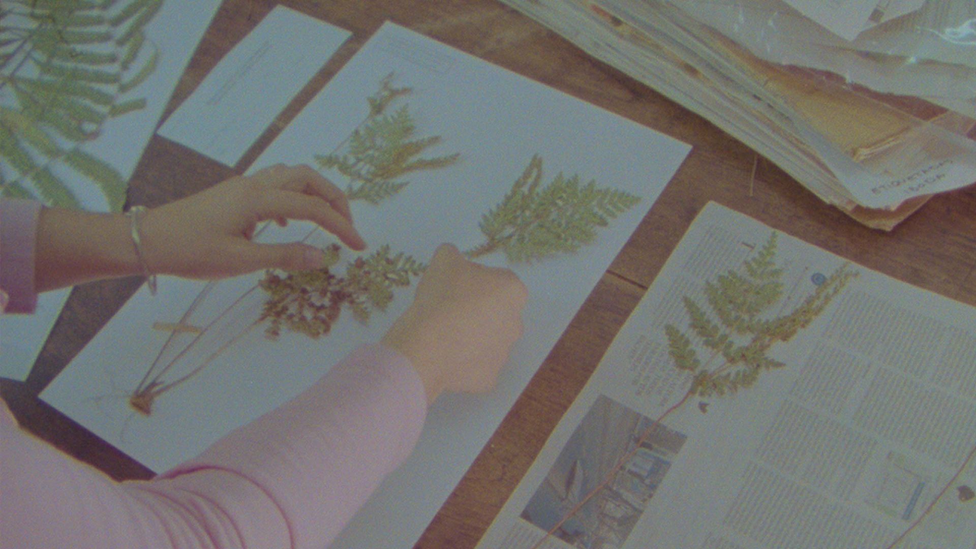 Herbaria