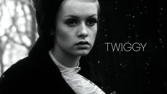 Twiggy: The Face of the 60's