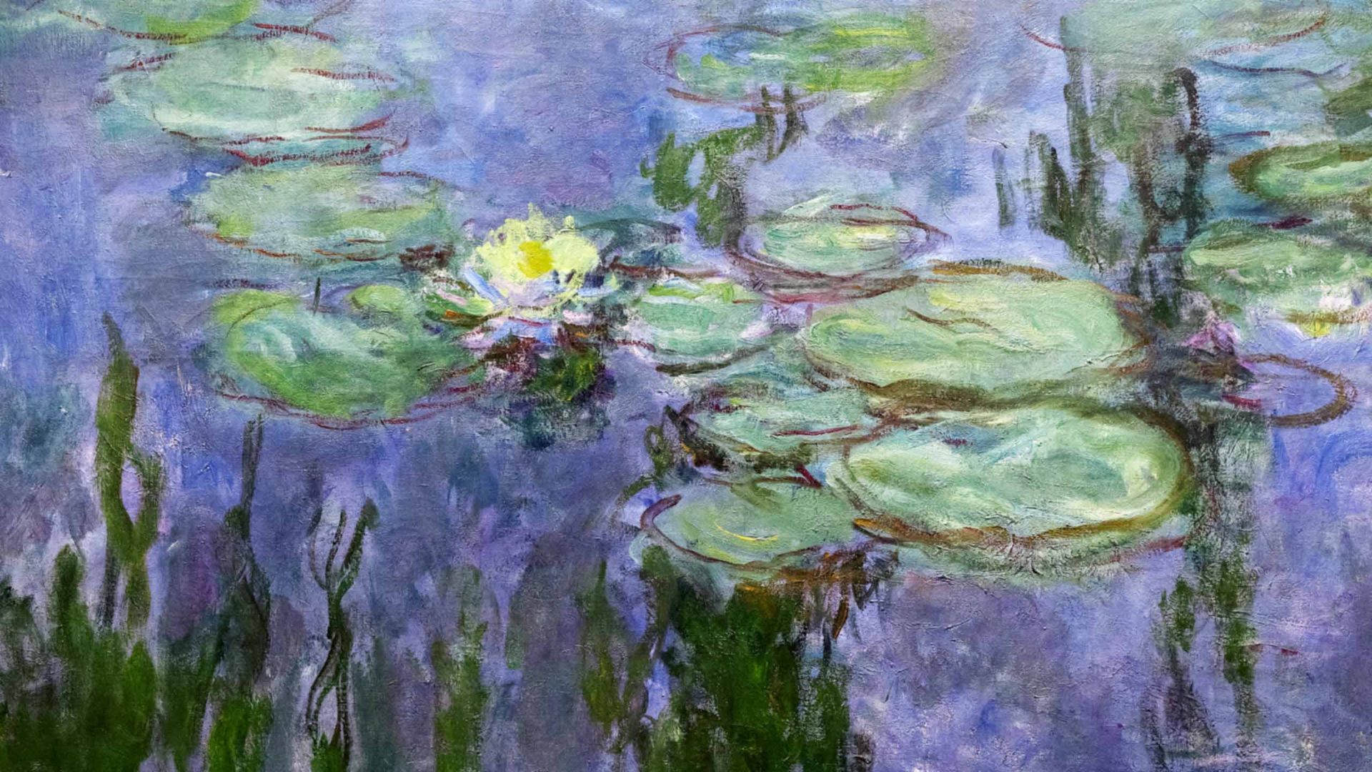 Los nenúfares de Monet
