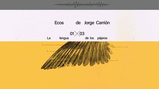 La lengua de los pájaros