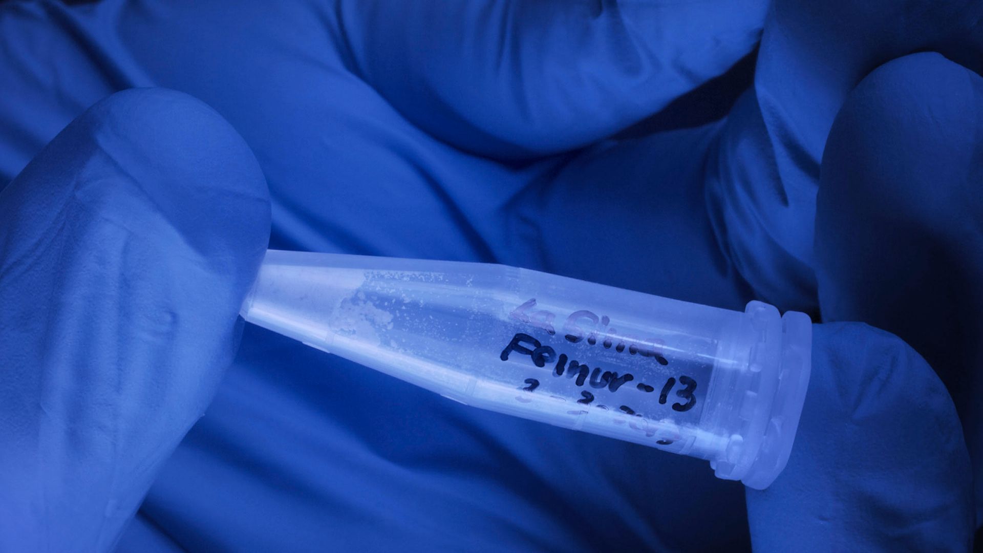 El ADN humano más antiguo