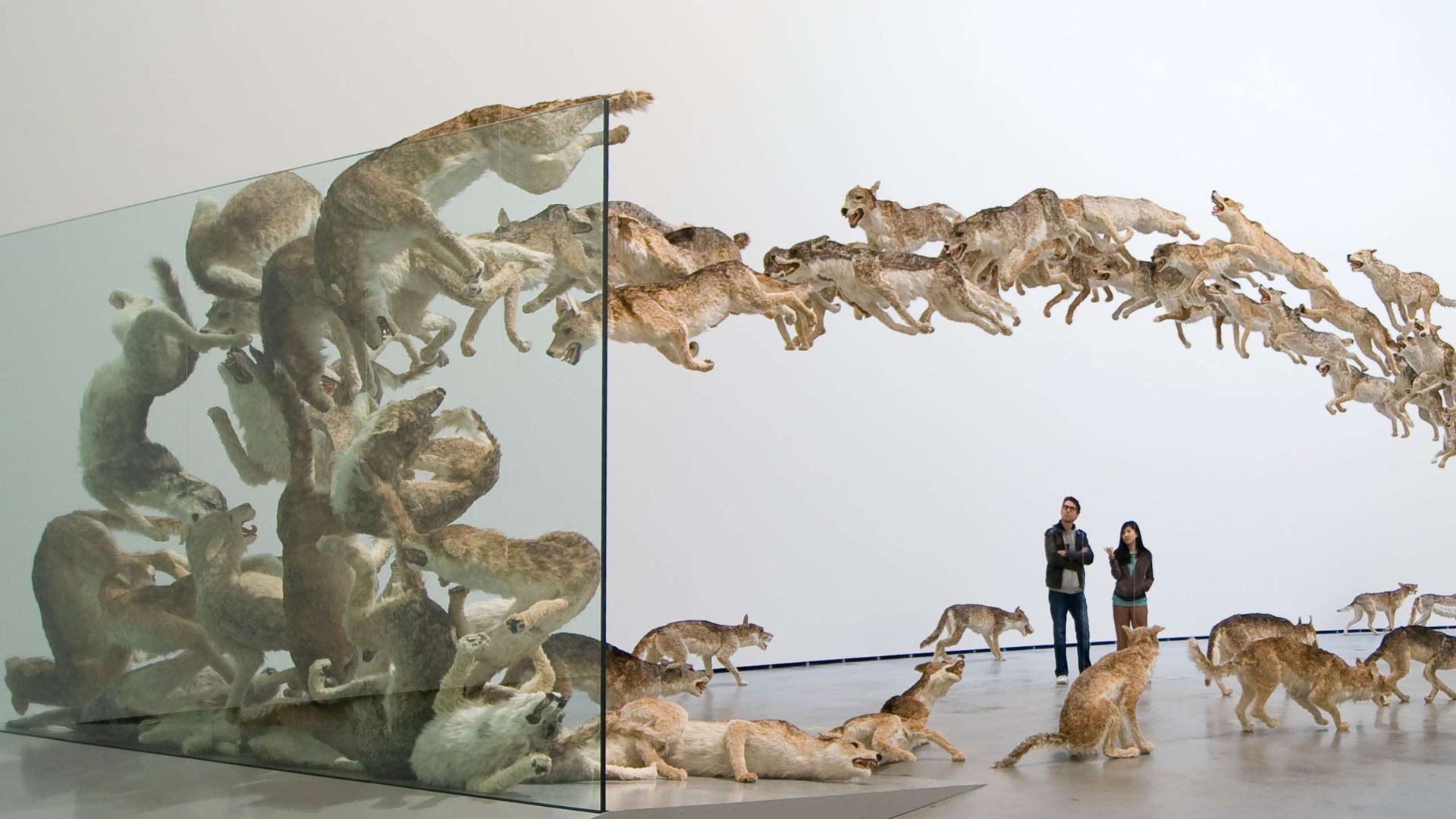 Cai Guo Qiang: Quiero creer 