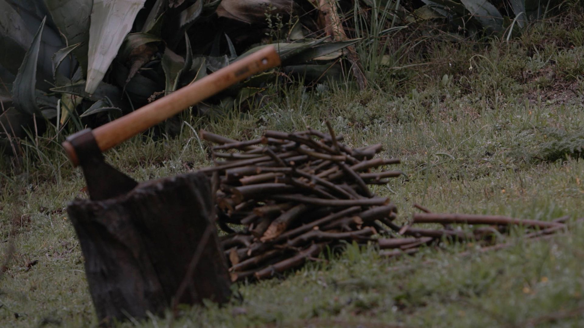 Capítulo 5: 'Pertenencia'