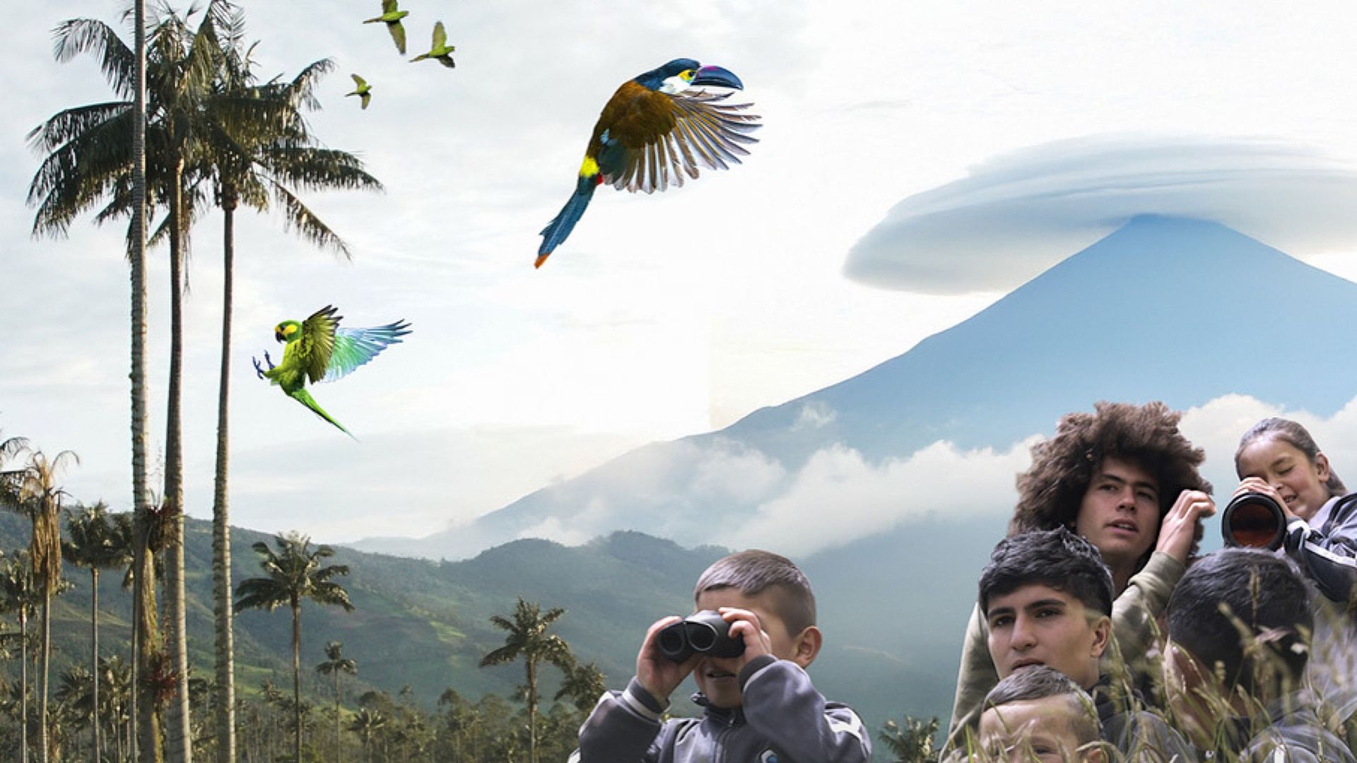 El canto de las aves