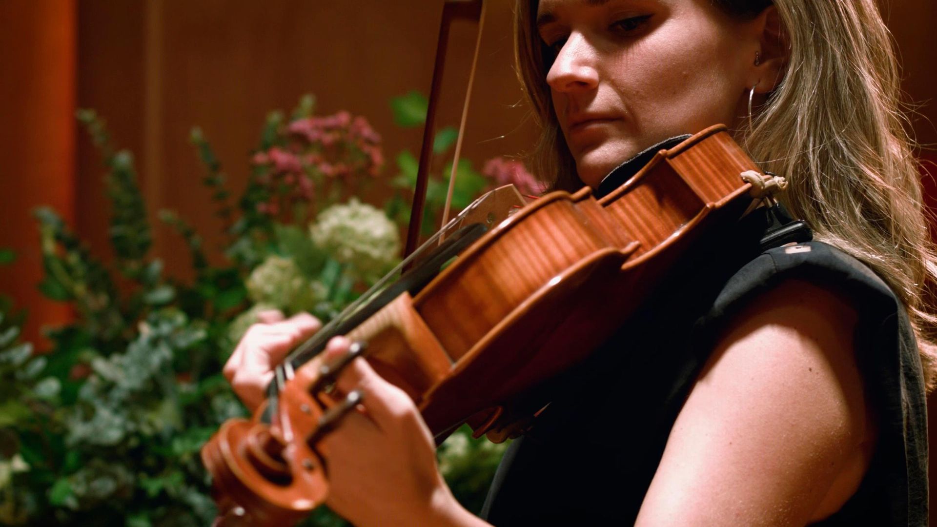 Desmontando la orquesta: La Viola