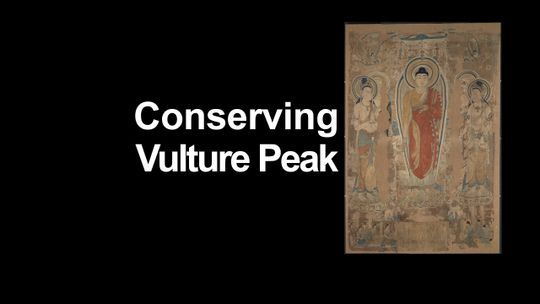 Conservación del 'Pico del Buitre'