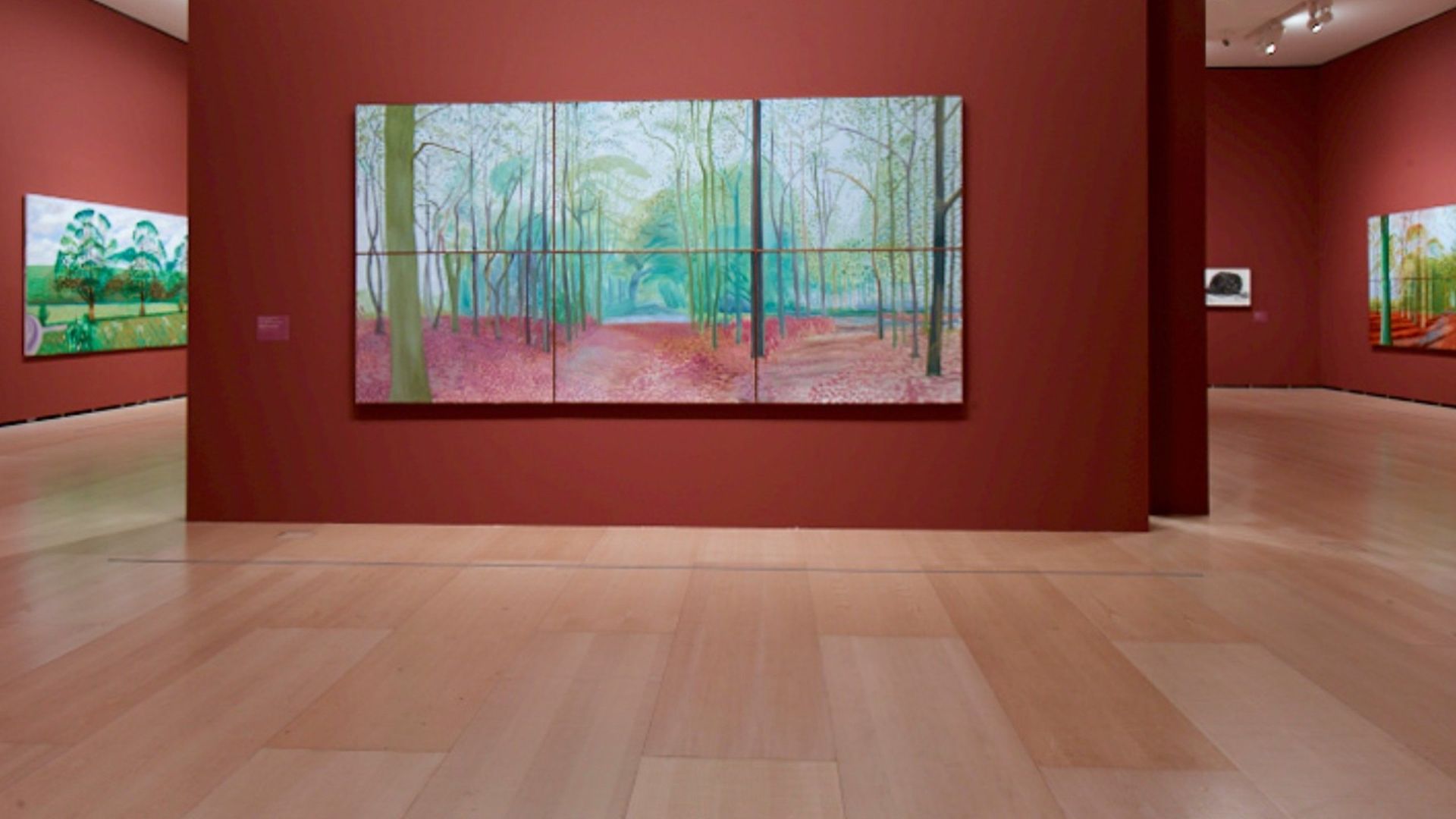 David Hockney: una visión más amplia