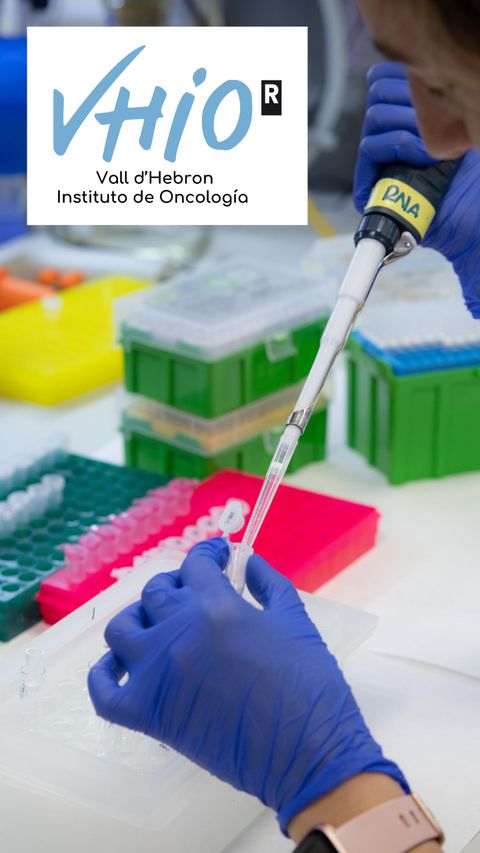 Vall d’Hebron Instituto de Oncología (VHIO)