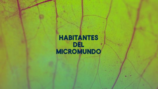 Habitantes del Micromundo