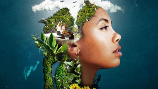 Blue Carbon. El poder oculto de la naturaleza