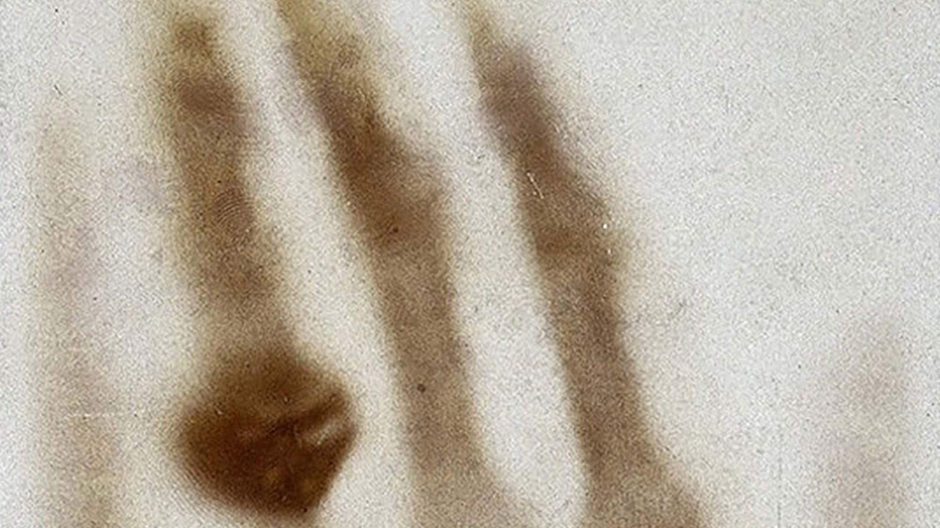 La mano