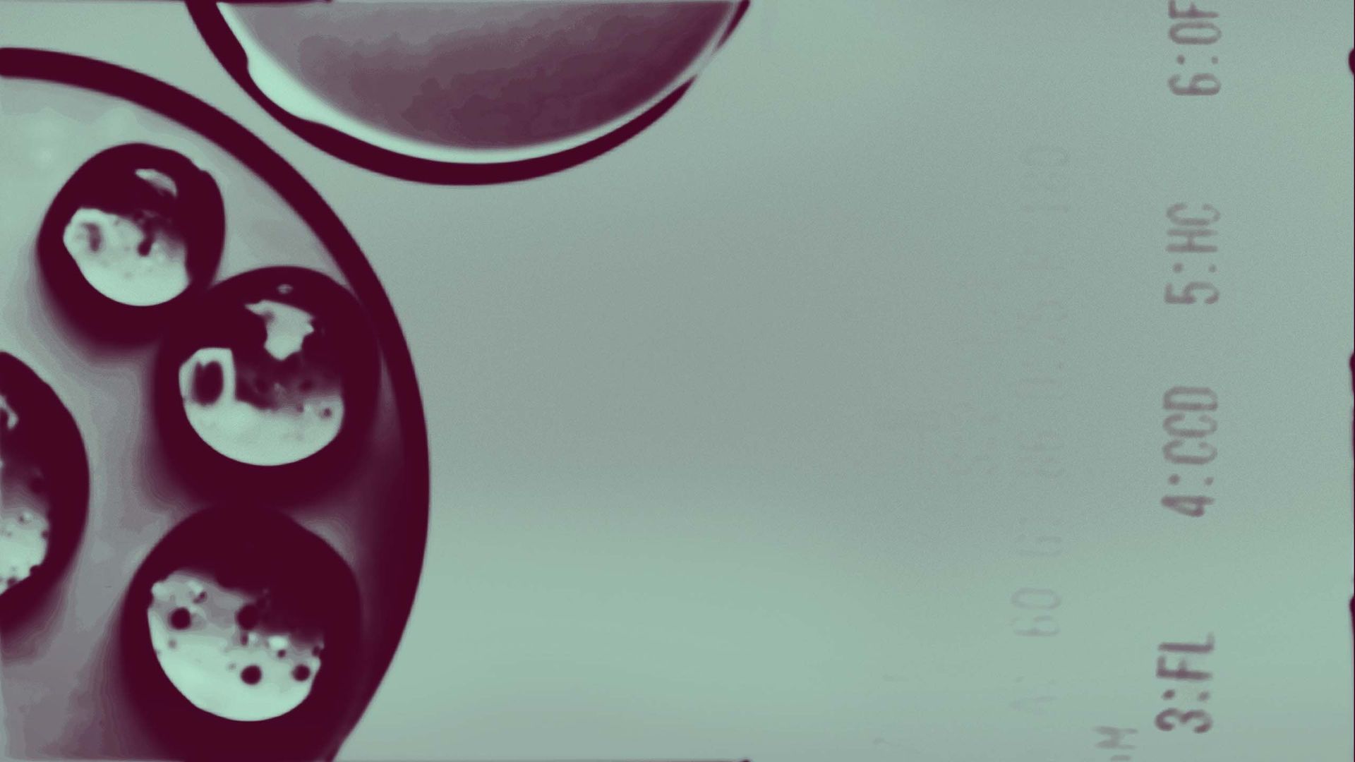 Capítulo 1. Investigación vs. Cáncer