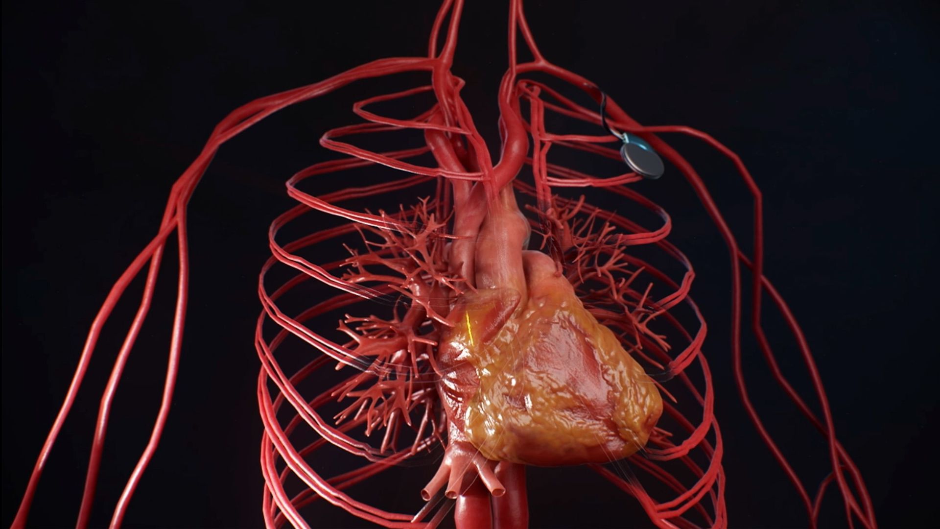 La medicina del corazón