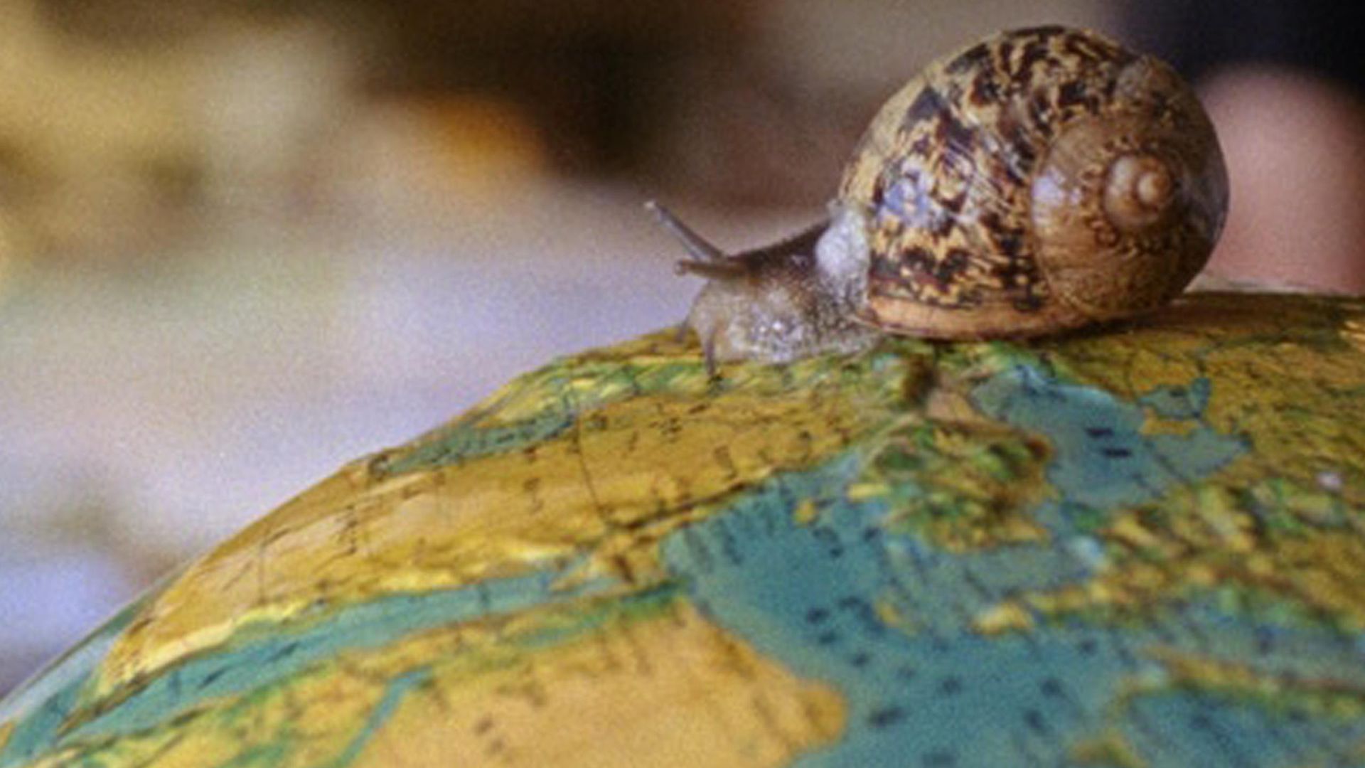 A Volta ao Mundo Quando Tinhas 30 anos
