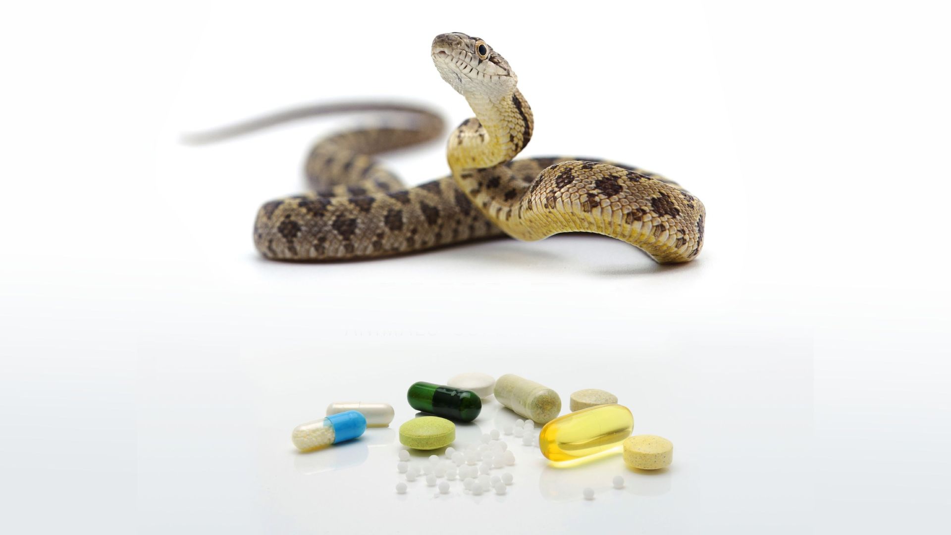 Wild Medicine