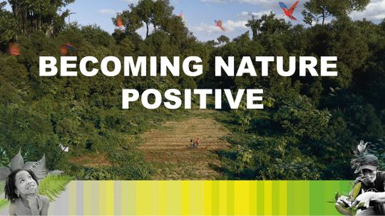 Becoming Nature Positive